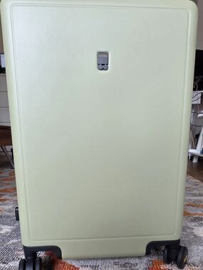 Large Travel Spinner Suitcase in Light Green